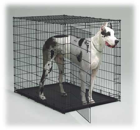 midwest xxl dog crate|midwest 1154u big dog crate.